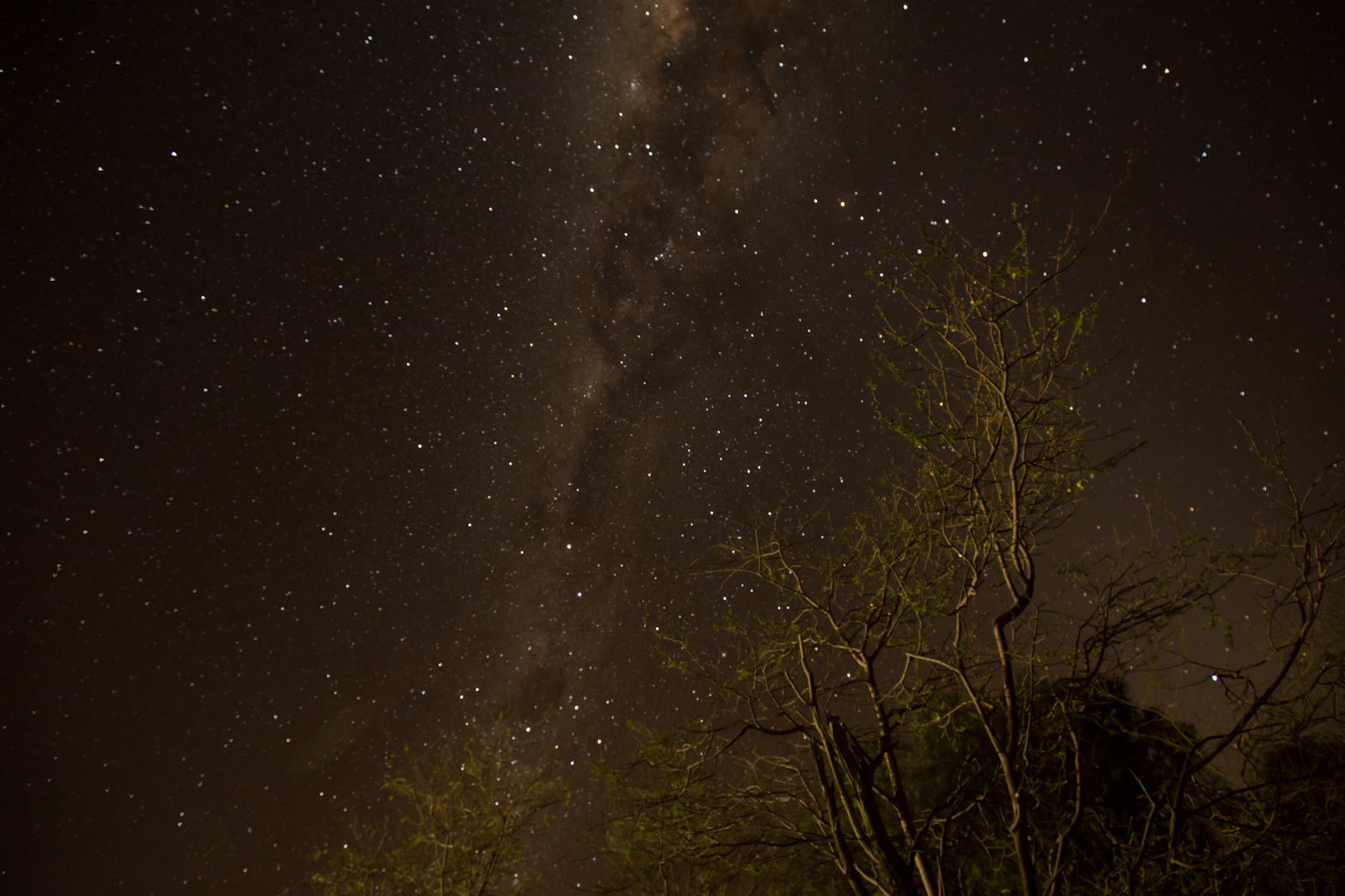 Sternenhimmel über Südafrika