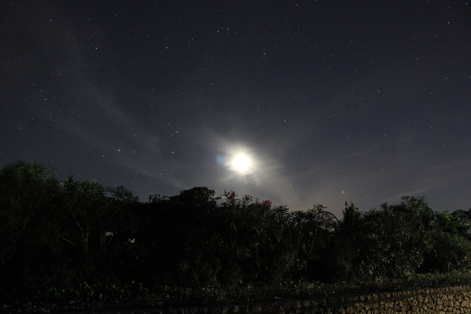 Sternenhimmel und Mond über Oleander
