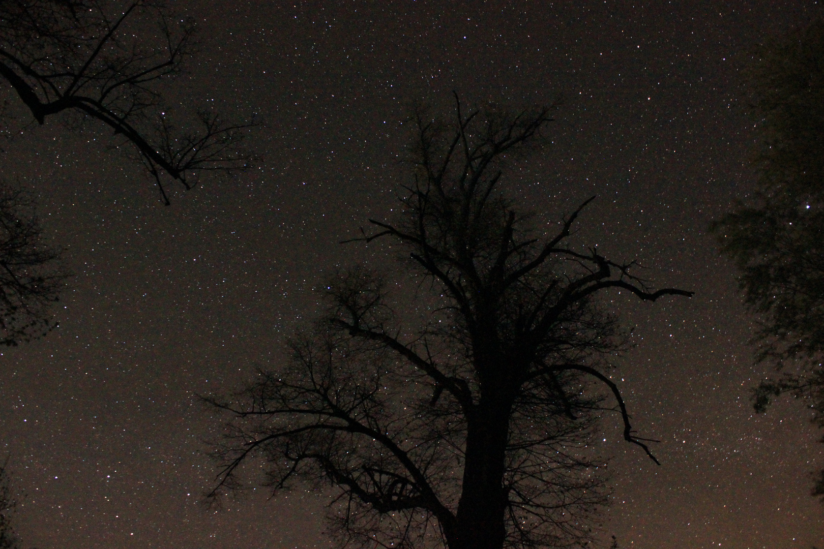 Sternenklar bei Neumond