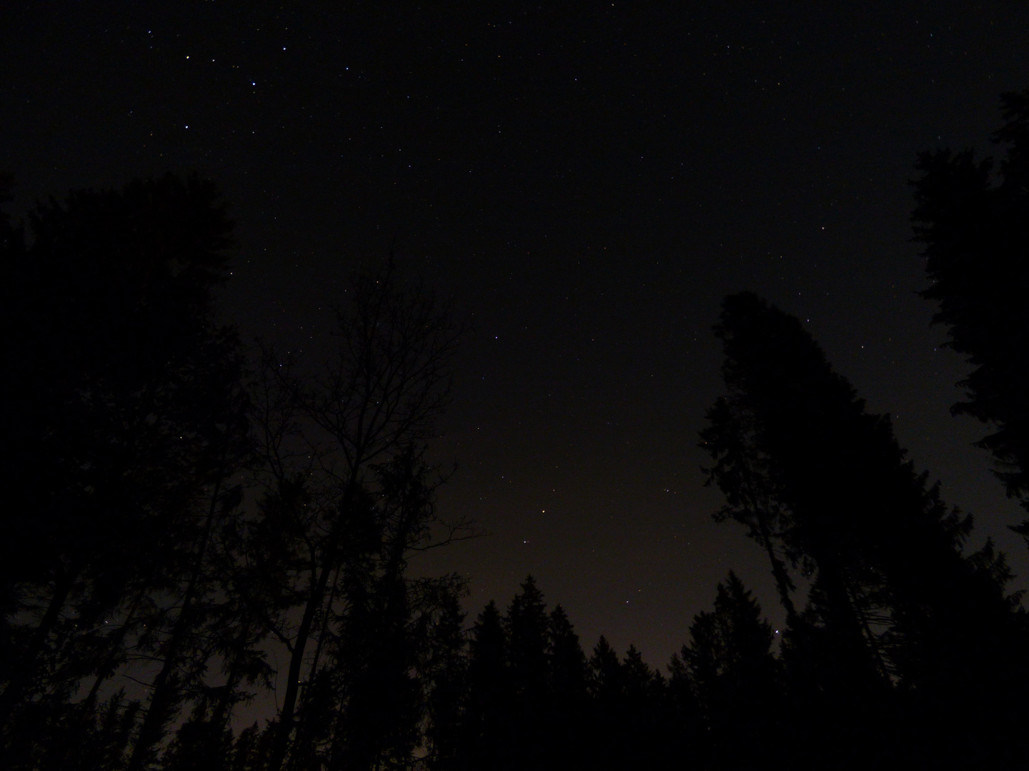 Sternenklare Nacht