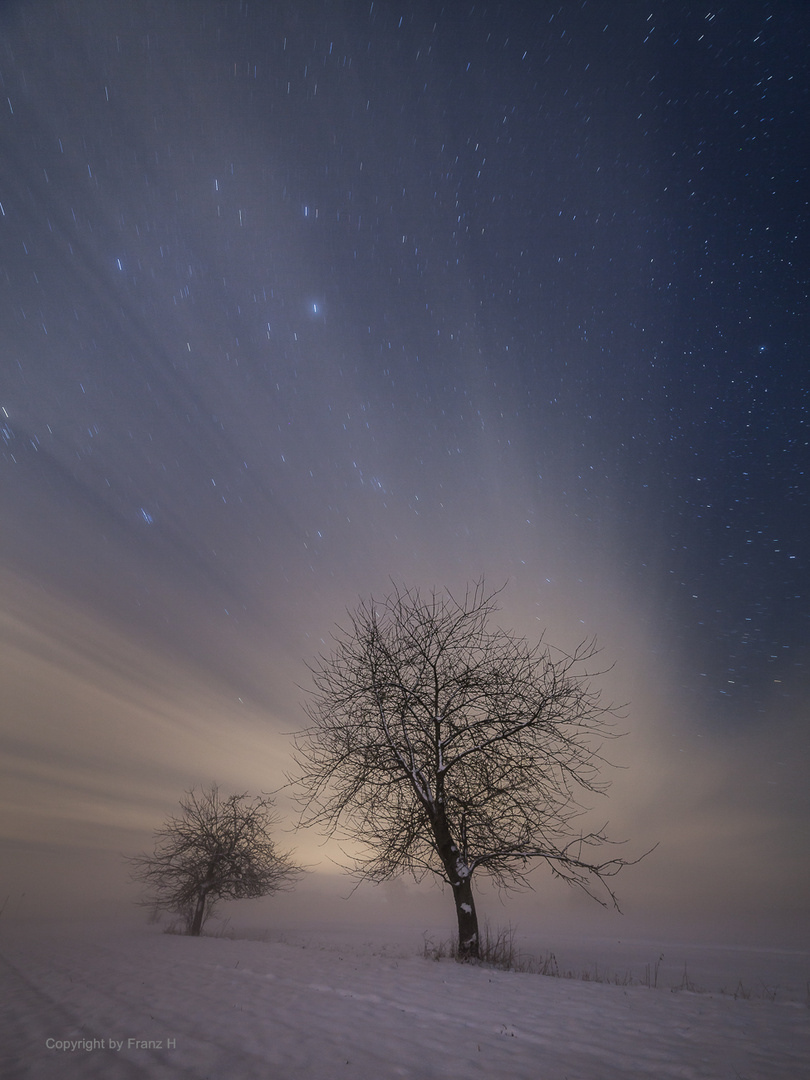 Sternennacht