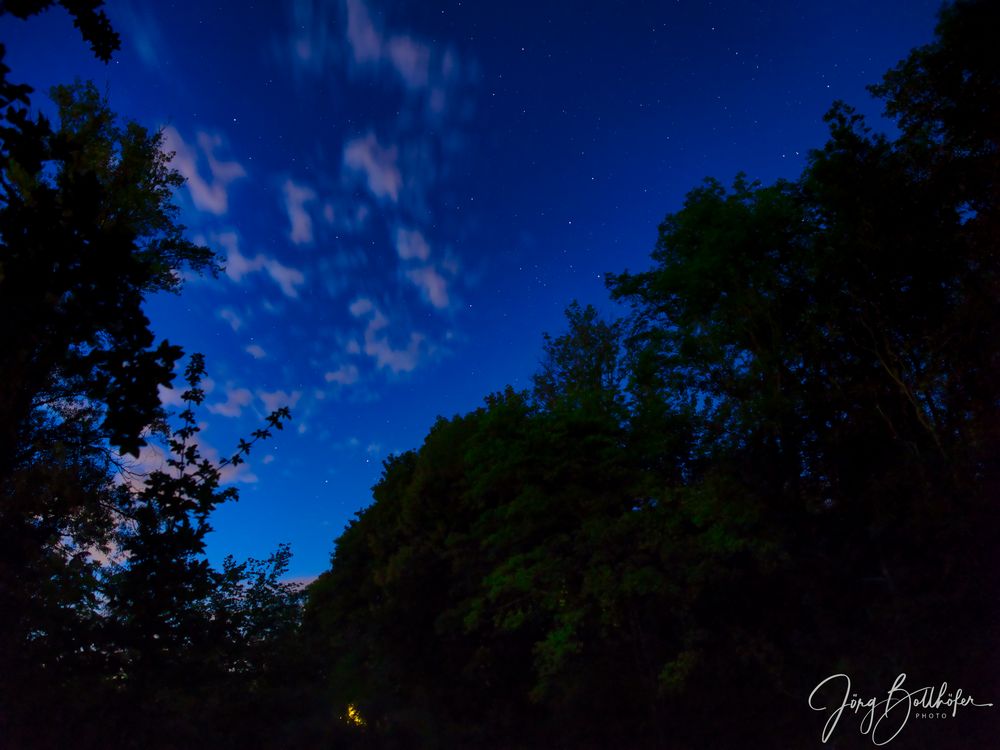 Sternennacht am Weiher