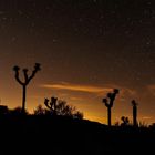 Sternennacht Joshua Tree NP