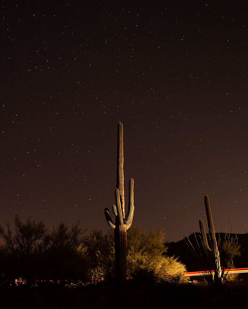 Sternennacht über Saguaro NP