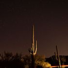 Sternennacht über Saguaro NP