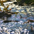 Sternenregen - im Herzen wunschlos