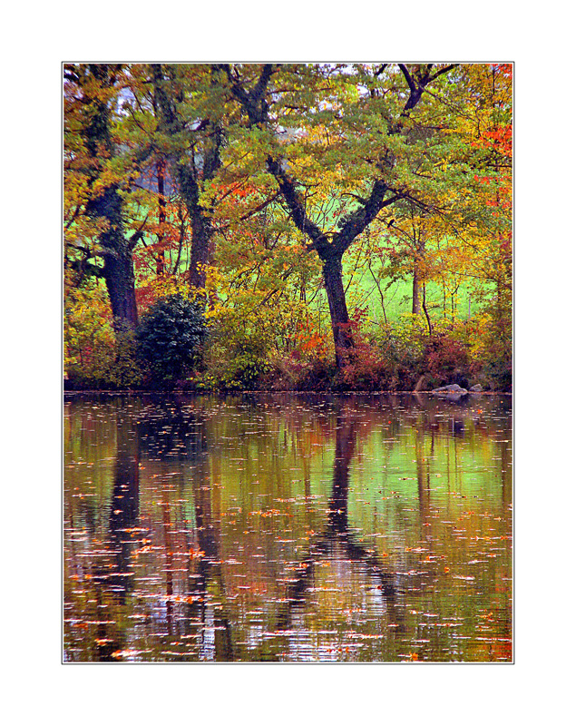 Sternenweiher