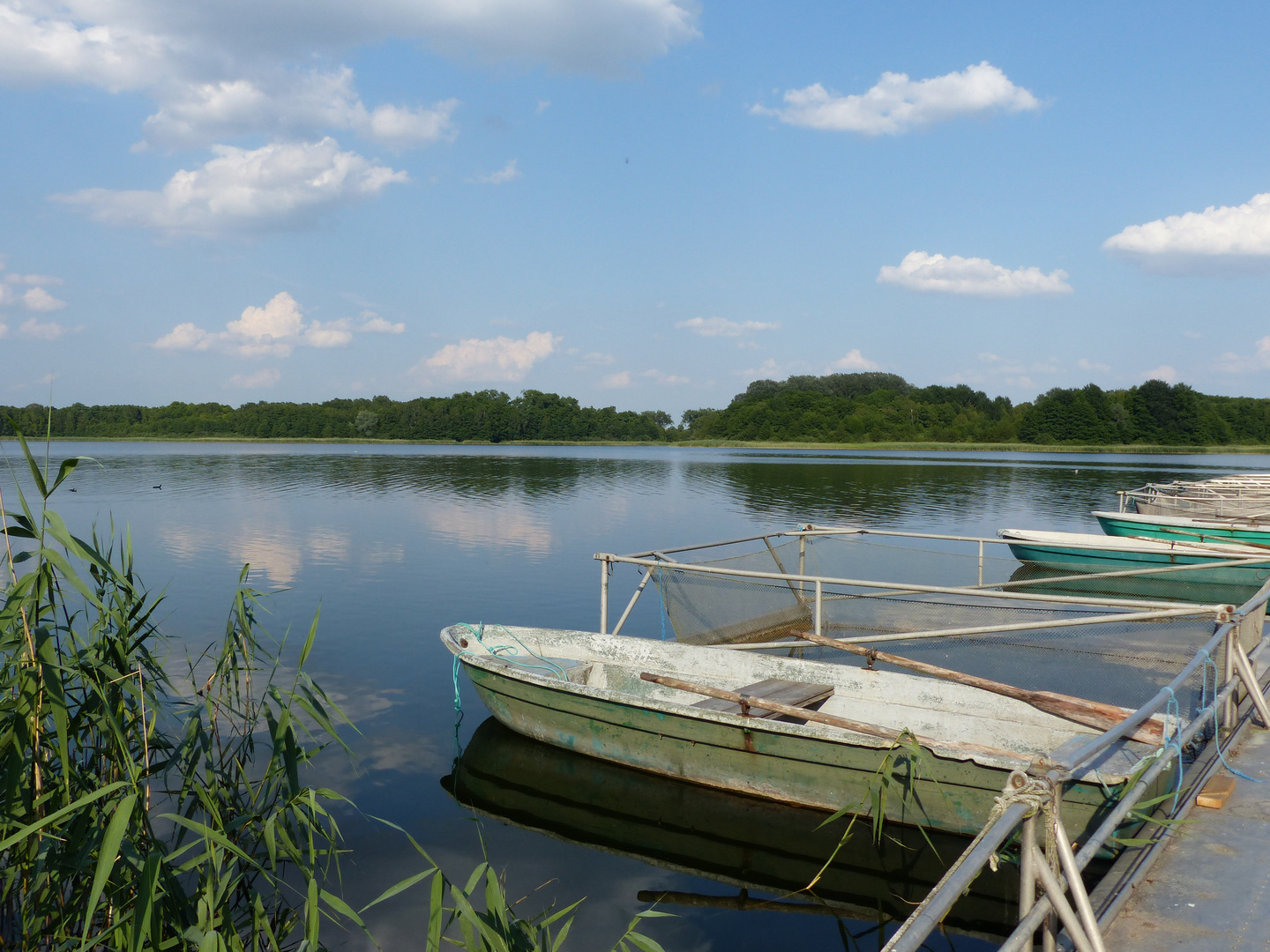 SternhagenerSee ...