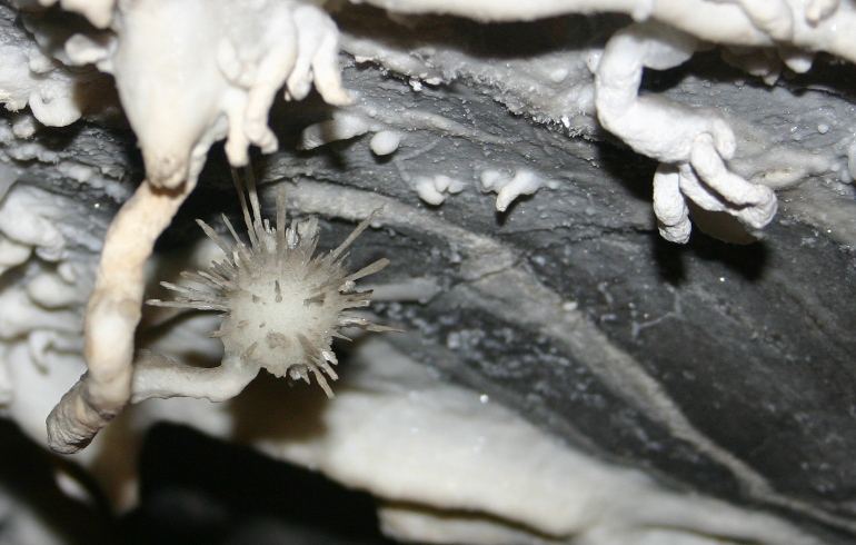 Sternmineral in der Chapada Diamantina