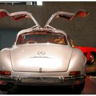 STERNSCHNUPPE - 300 SL