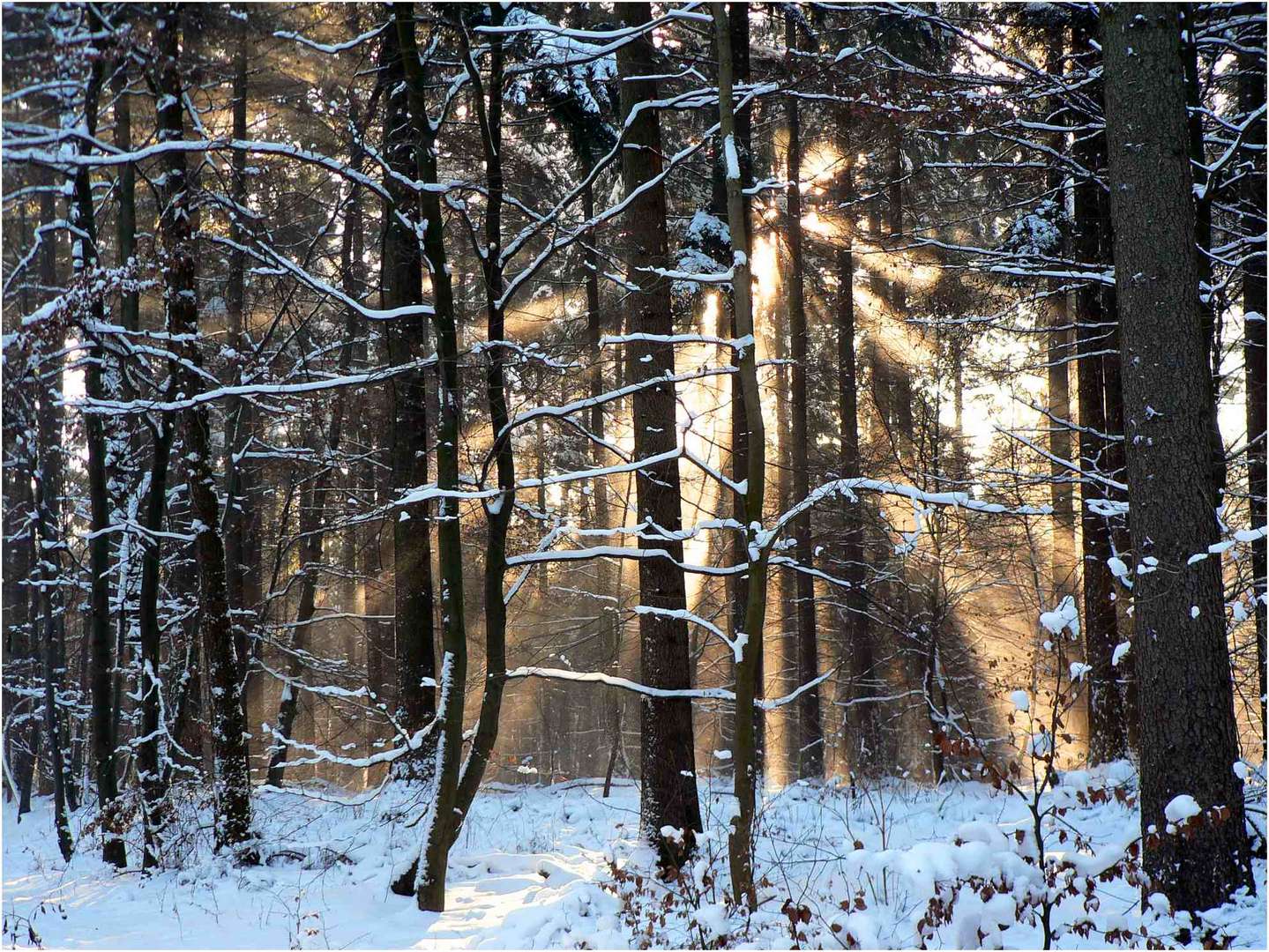 Sternstunde zum 2. Advent