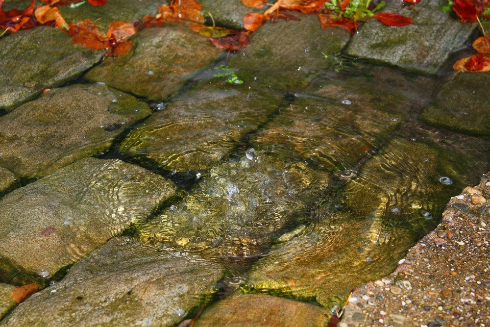 steter tropfen höhlt den stein