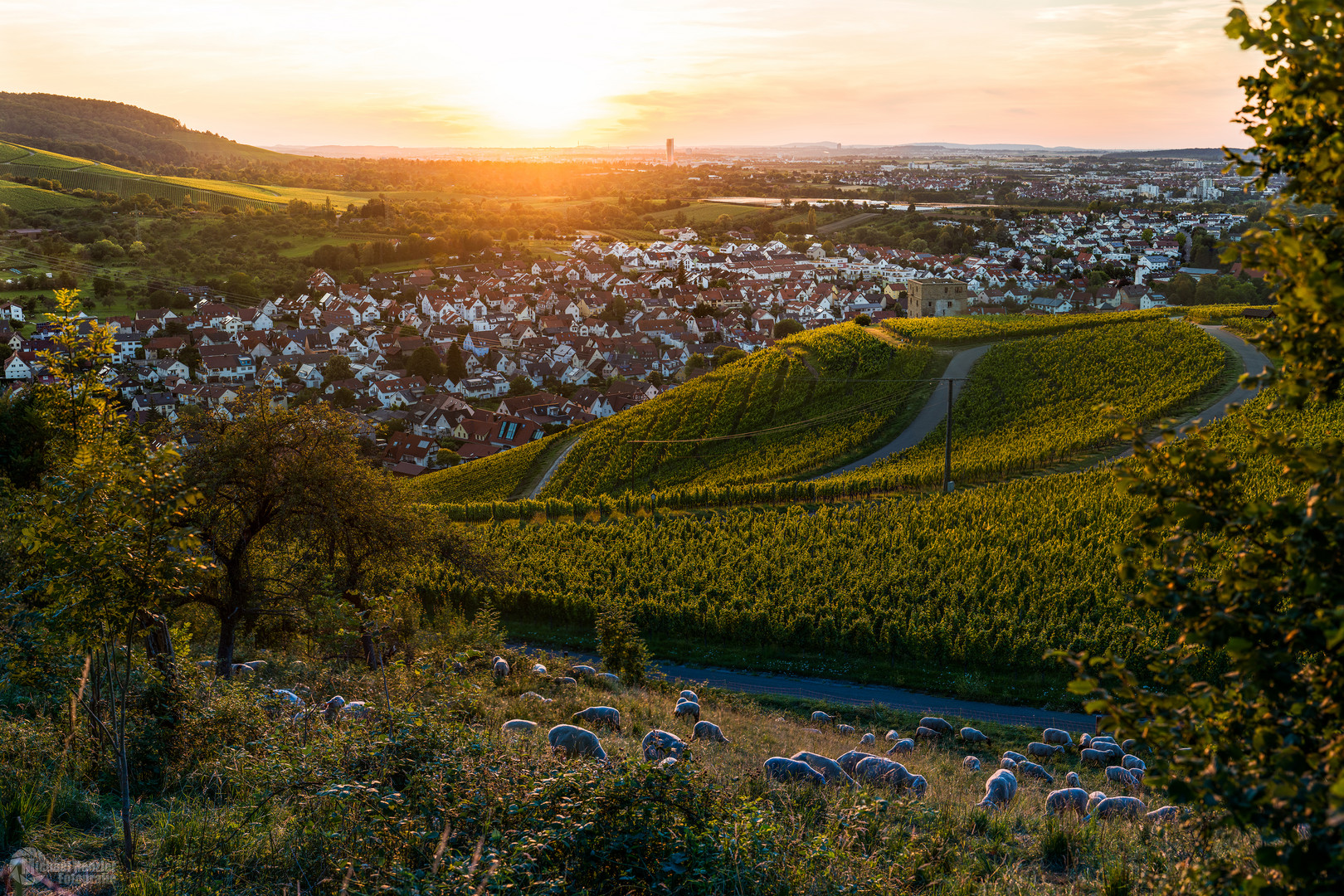 Stetten im Sonnenuntergang