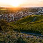 Stetten im Sonnenuntergang