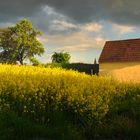 Stetten im Weinviertel - Vor dem Gewitter