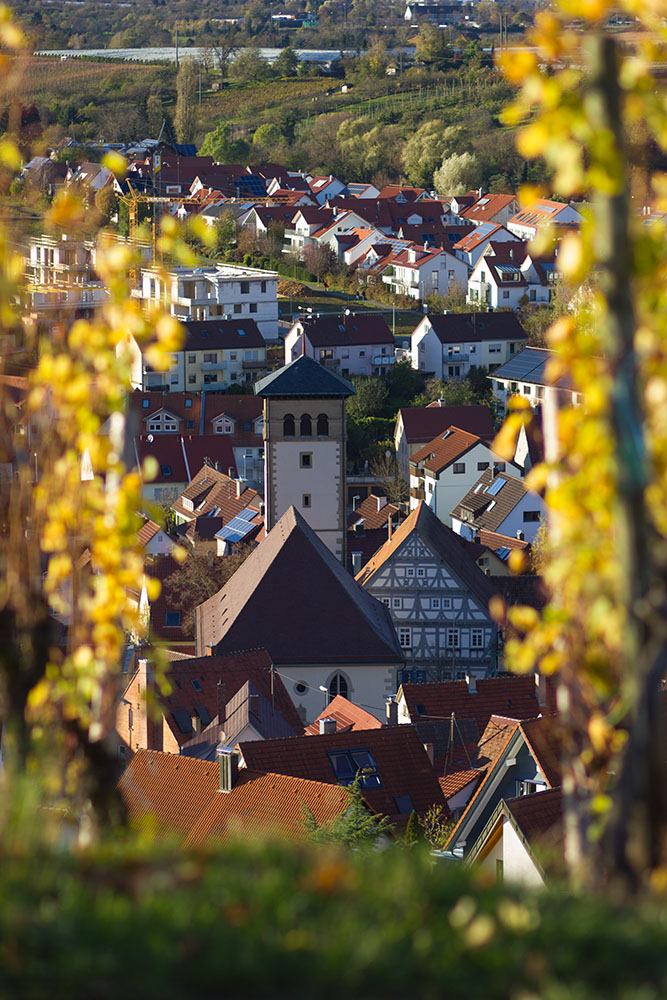 Stettener Kirche & altes Rathaus