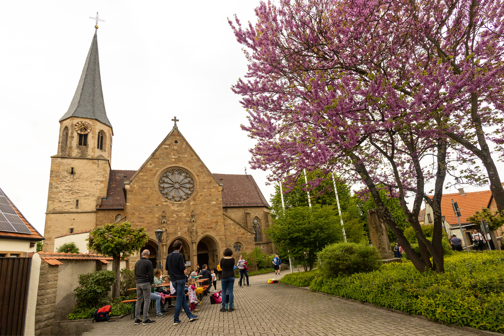 Stettfeld - Marcellusplatz mit blühendem Judasbaum