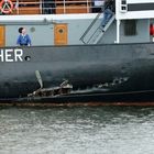 Stettin -Dampfeisbrecher- Schaden nach Kollision