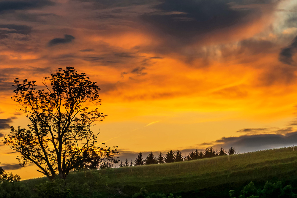 Stettlen am Abend