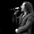 Steve Augeri / Journey