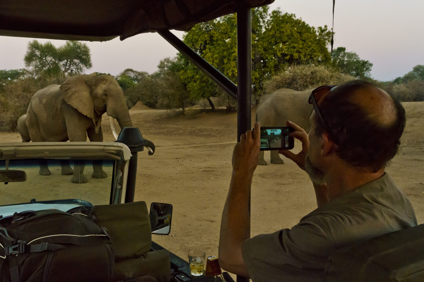 Steve Bolnick, Elefanten im Mana Pools NP, 21.09.2019, Doku