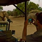 Steve Bolnick, Elefanten im Mana Pools NP, 21.09.2019, Doku