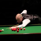 Steve Davis