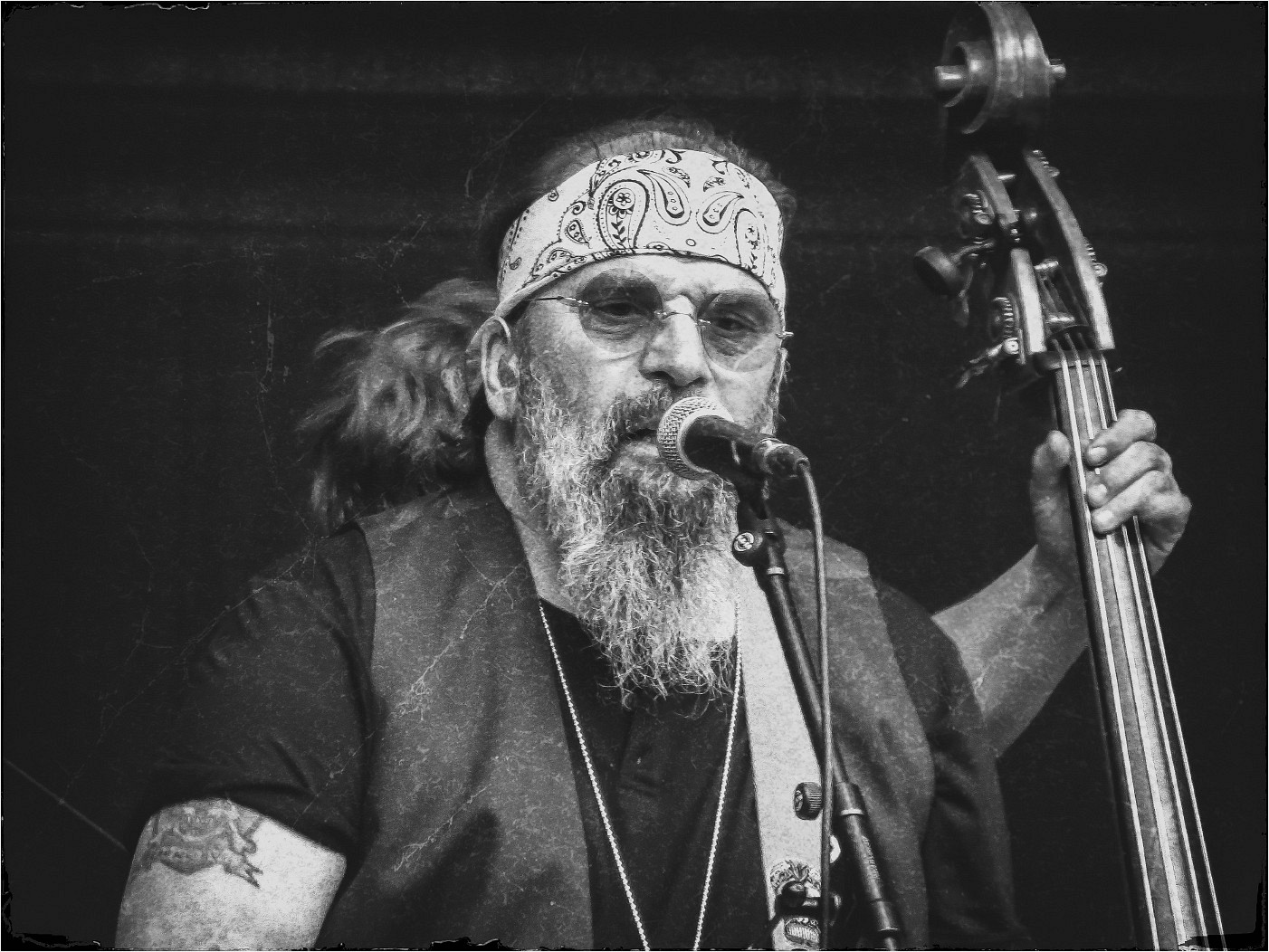 Steve Earle (2)