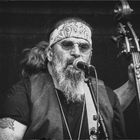 Steve Earle (2)