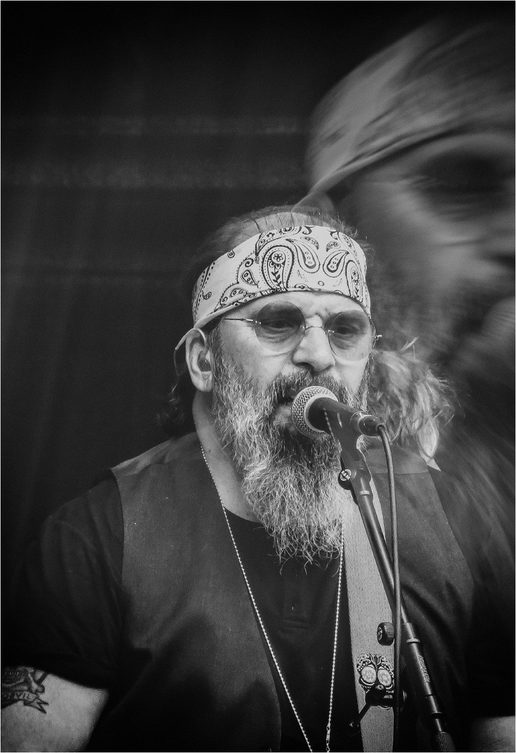 STEVE EARLE