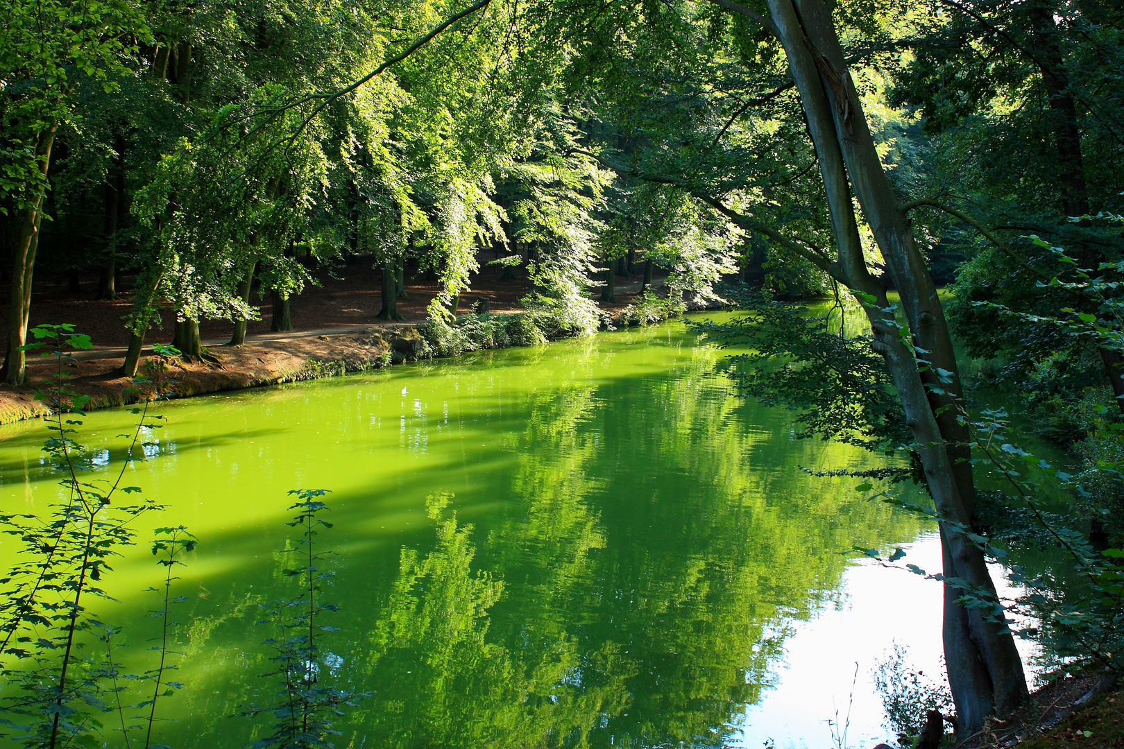 Stever bei Haltern am See