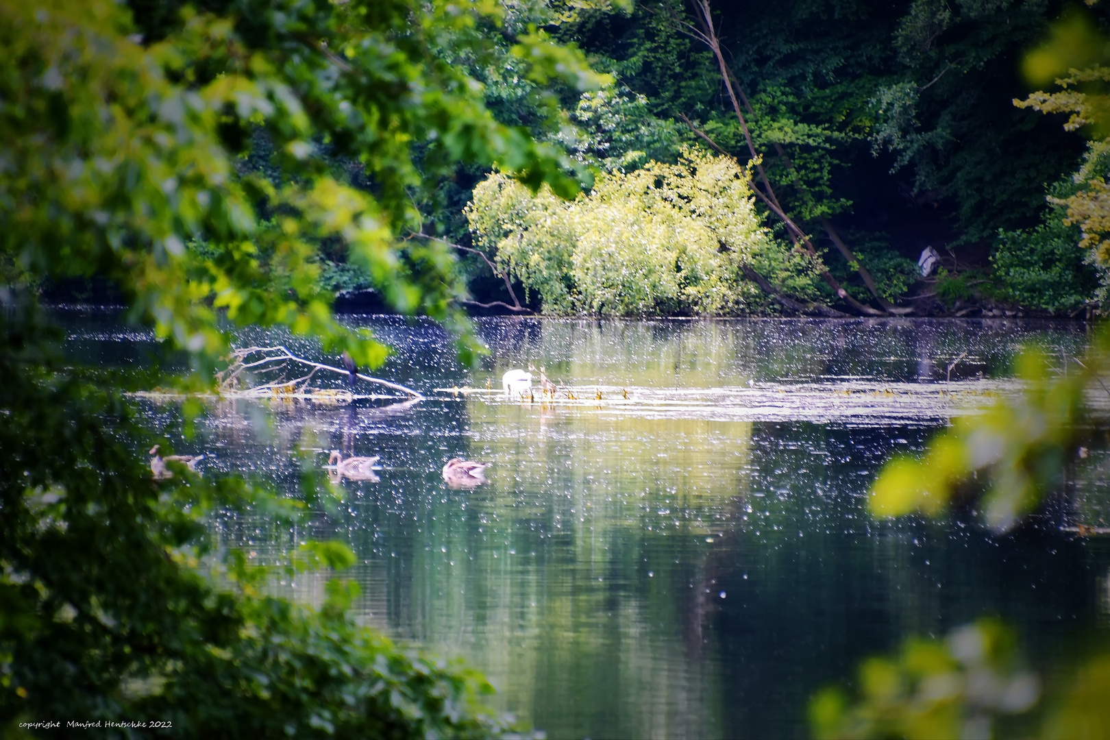 Steverblick