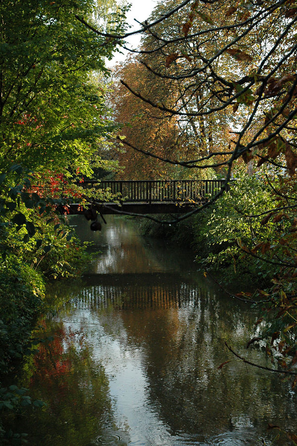 Steverbrücke im beginnenden Herbst