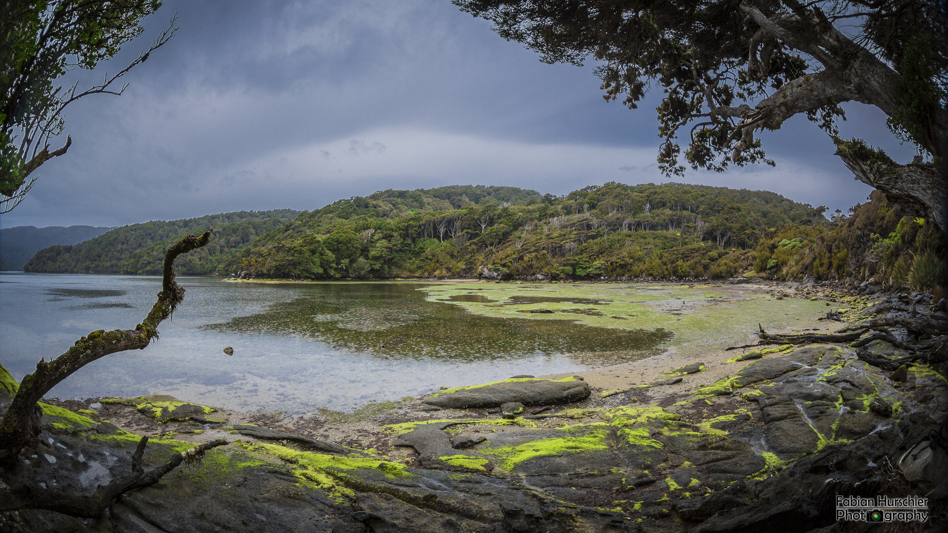 Steward Island Bay