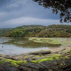 Steward Island Bay