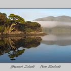 Stewart Island