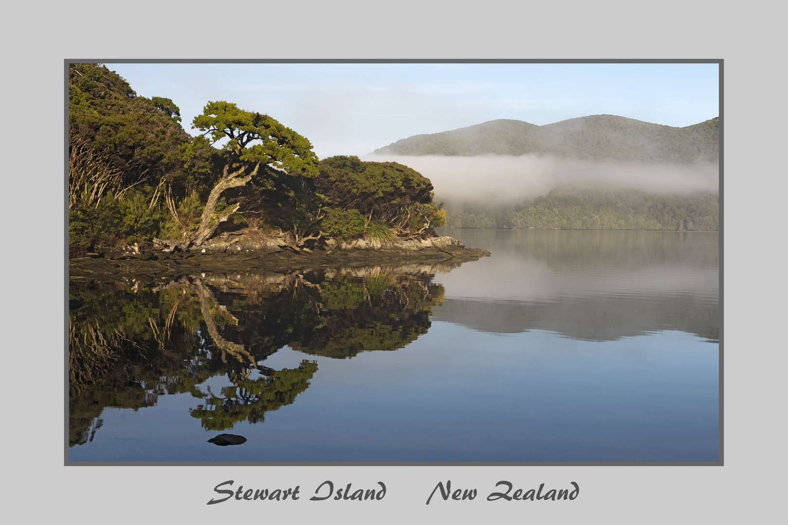 Stewart Island