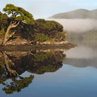 Stewart Island