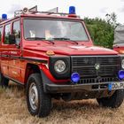 STEYR - DAIMLER - PUCH 