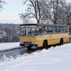 Steyr Retrobus