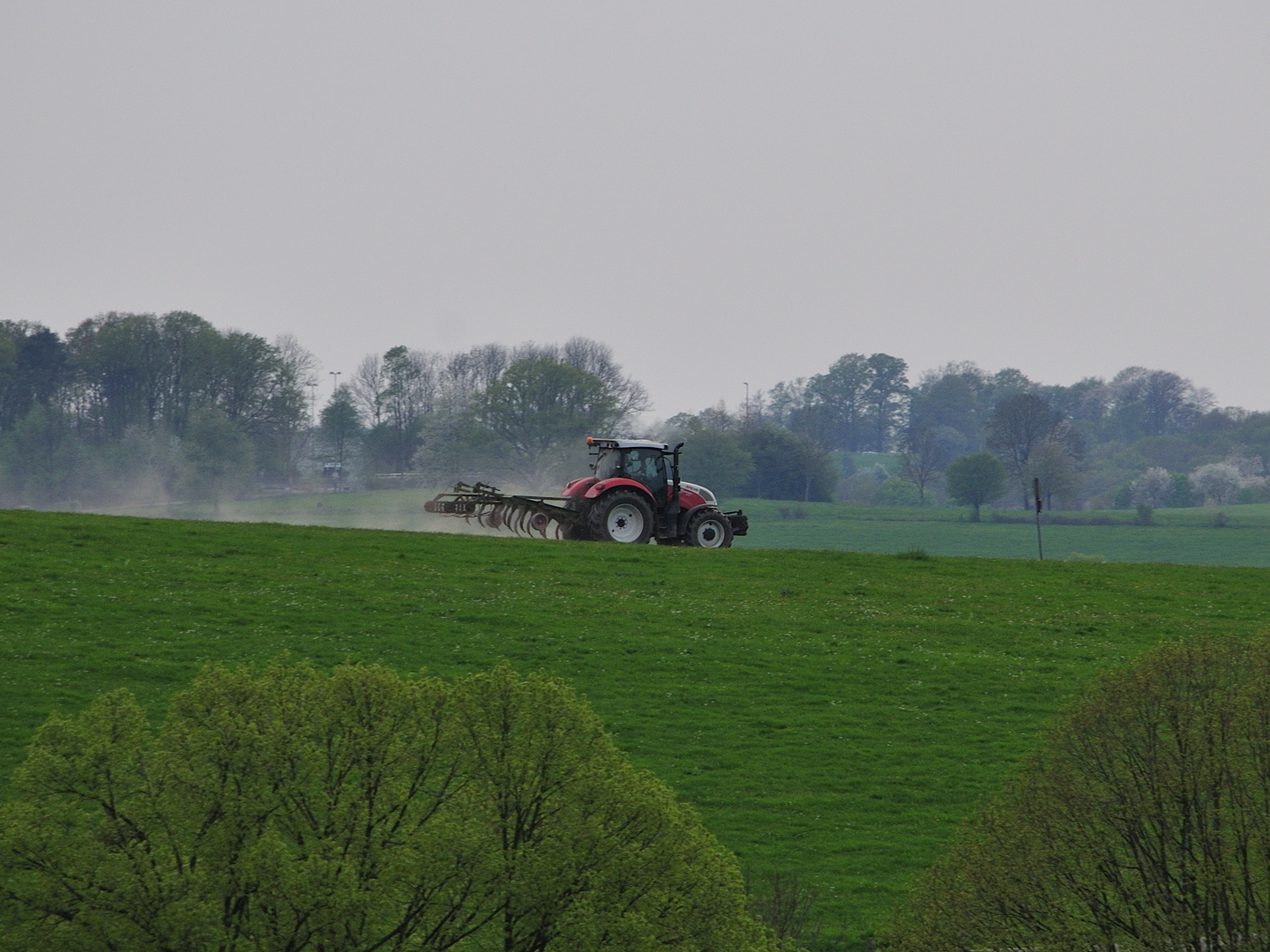 Steyr Traktor bei der Arbeit