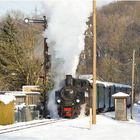 Steyrtalbahn Adventzug