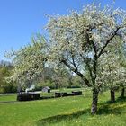 Steyrtalbahn am 30.04.2017