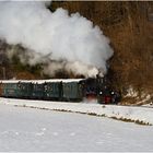 Steyrtalbahn Dampflok 498.04