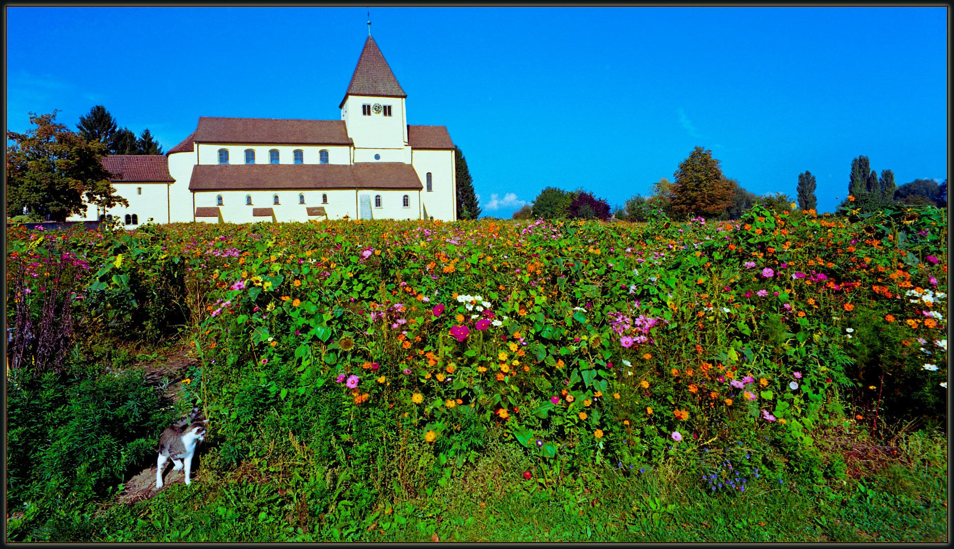 St.Georg auf Insel Reichenau