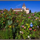 St.Georg, Insel Reichenau, oder: "Gott ist Liebe"