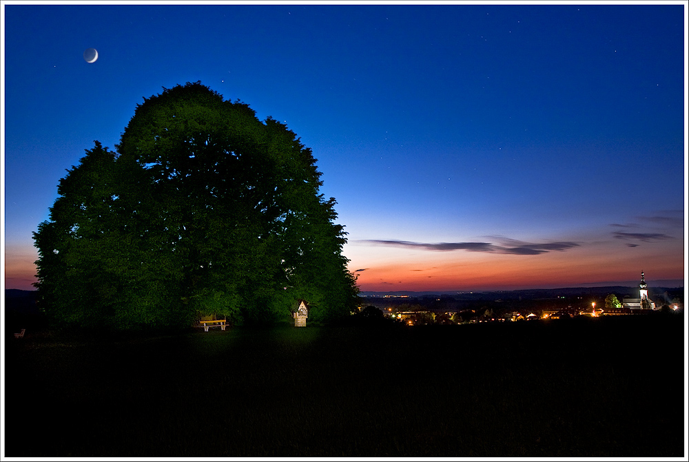 Stibler Linde zur blauen Stunde(2) - reload