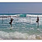 Stick Fishing auf Sri Lanka