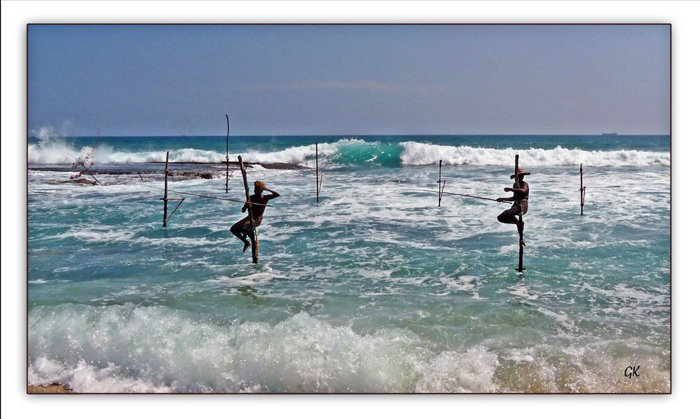 Stick Fishing auf Sri Lanka