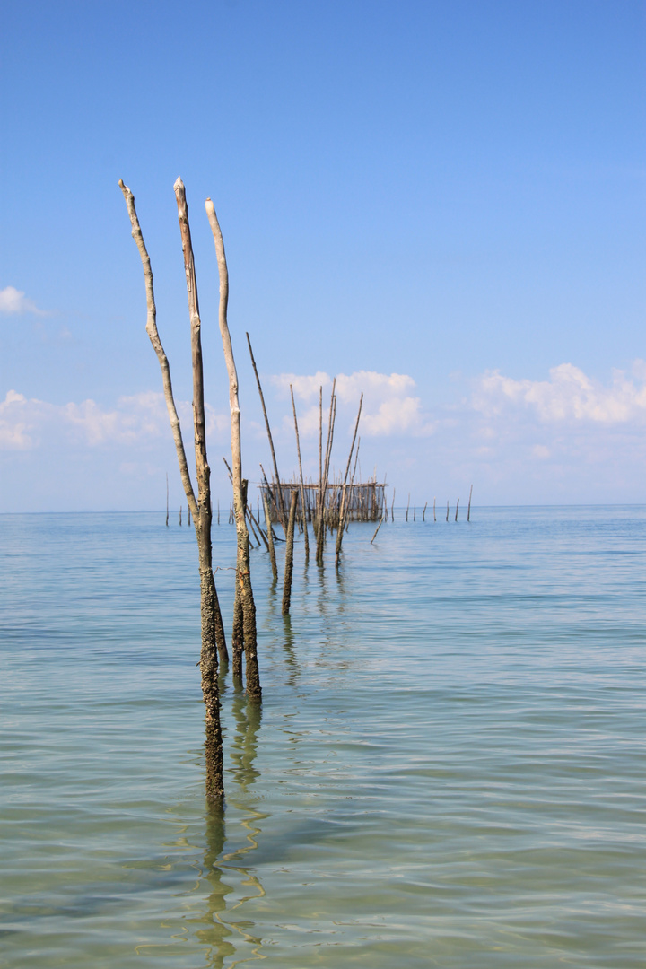 Sticks in the Water II